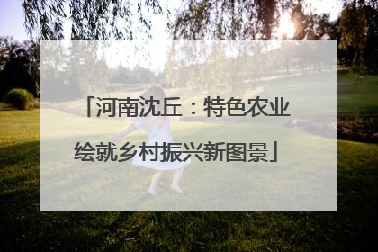 河南沈丘：特色农业绘就乡村振兴新图景
