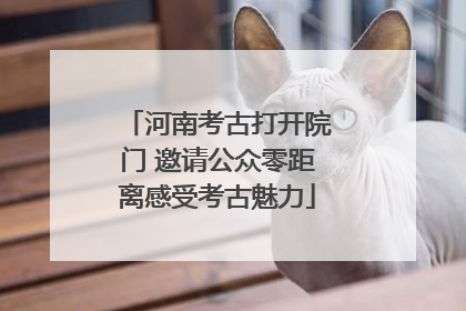 河南考古打开院门 邀请公众零距离感受考古魅力