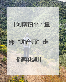 河南镇平：鱼卵“助产师”走俏孵化期