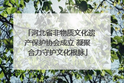 河北省非物质文化遗产保护协会成立 凝聚合力守护文化根脉