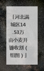 河北满城区14.53万亩小麦开镰收割（组图）