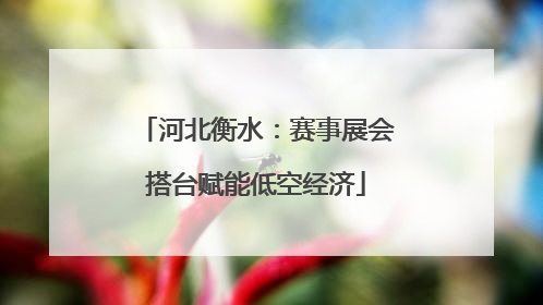 河北衡水：赛事展会搭台赋能低空经济