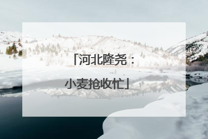 河北隆尧：小麦抢收忙