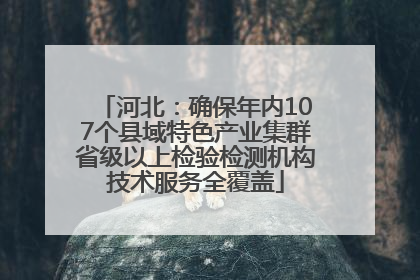 河北：确保年内107个县域特色产业集群省级以上检验检测机构技术服务全覆盖