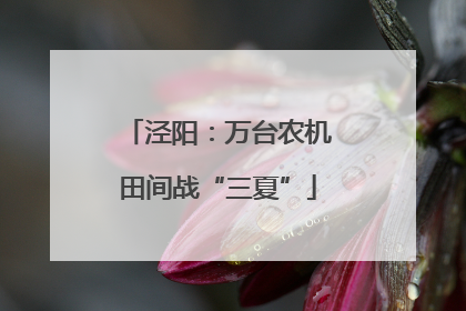 泾阳：万台农机田间战“三夏”