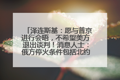 泽连斯基：愿与普京进行会晤，不希望美方退出谈判！消息人士：俄方停火条件包括北约“书面”保证不东扩