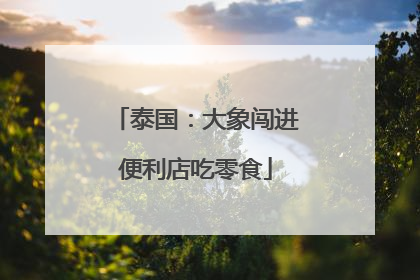 泰国：大象闯进便利店吃零食