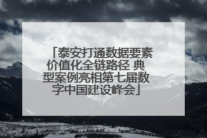 泰安打通数据要素价值化全链路径 典型案例亮相第七届数字中国建设峰会