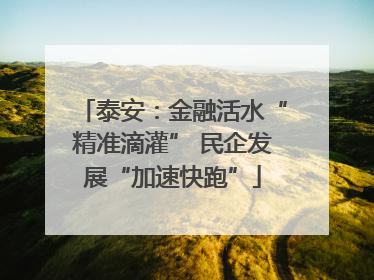 泰安：金融活水“精准滴灌” 民企发展“加速快跑”