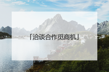 洽谈合作觅商机