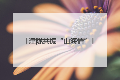 津陇共振“山海情”