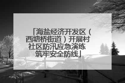 海盐经济开发区（西塘桥街道）开展村社区防汛应急演练 筑牢安全防线