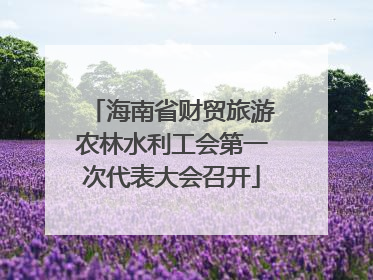 海南省财贸旅游农林水利工会第一次代表大会召开