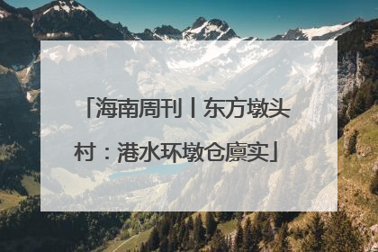 海南周刊丨东方墩头村：港水环墩仓廪实
