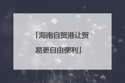 海南自贸港让贸易更自由便利