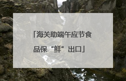 海关助端午应节食品保“鲜”出口