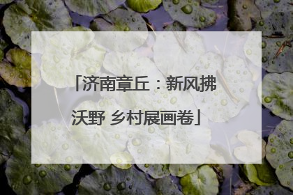 济南章丘：新风拂沃野 乡村展画卷