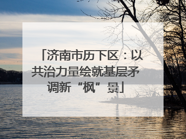 济南市历下区：以共治力量绘就基层矛调新“枫”景