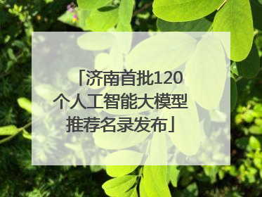 济南首批120个人工智能大模型推荐名录发布