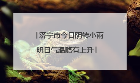 济宁市今日阴转小雨 明日气温略有上升