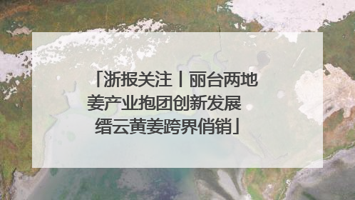 浙报关注丨丽台两地姜产业抱团创新发展 缙云黄姜跨界俏销