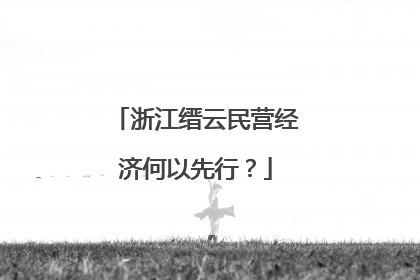 浙江缙云民营经济何以先行？