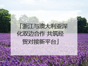 浙江与澳大利亚深化双边合作 共筑经贸对接新平台