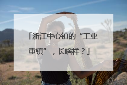 浙江中心镇的“工业重镇”，长啥样？