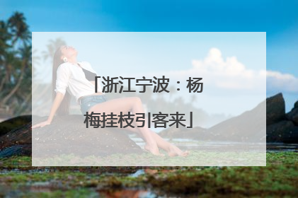浙江宁波：杨梅挂枝引客来