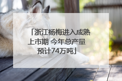 浙江杨梅进入成熟上市期 今年总产量预计74万吨