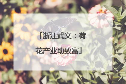 浙江武义：荷花产业助致富