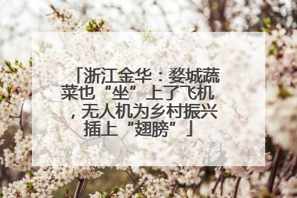 浙江金华：婺城蔬菜也“坐”上了飞机，无人机为乡村振兴插上“翅膀”