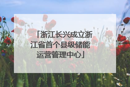 浙江长兴成立浙江省首个县级储能运营管理中心