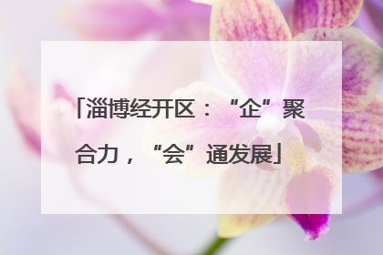 淄博经开区：“企”聚合力，“会”通发展