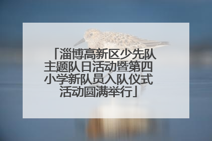 淄博高新区少先队主题队日活动暨第四小学新队员入队仪式活动圆满举行
