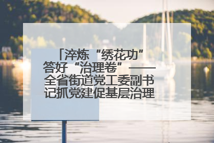 淬炼“绣花功” 答好“治理卷”——全省街道党工委副书记抓党建促基层治理培训示范班侧记