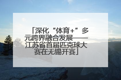 深化“体育+”多元跨界融合发展——江苏省首届匹克球大赛在无锡开赛