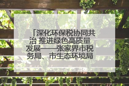深化环保税协同共治 推进绿色高质量发展——张家界市税务局、市生态环境局签署合作备忘录