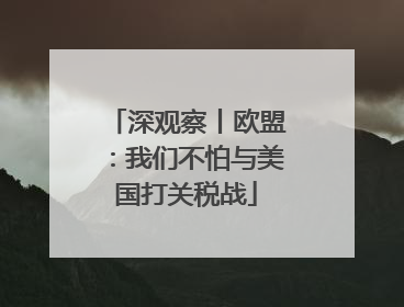 深观察丨欧盟：我们不怕与美国打关税战