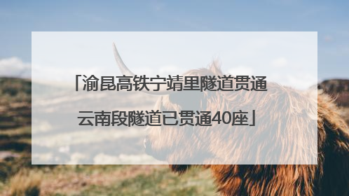 渝昆高铁宁靖里隧道贯通  云南段隧道已贯通40座