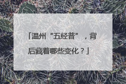温州“五经普”，背后藏着哪些变化？