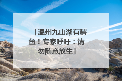 温州九山湖有鳄鱼！专家呼吁：请勿随意放生