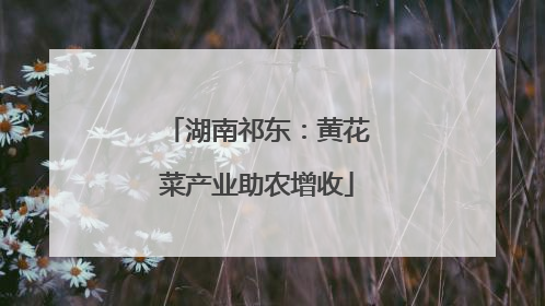 湖南祁东：黄花菜产业助农增收