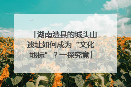 湖南澧县的城头山遗址如何成为“文化地标”？一探究竟