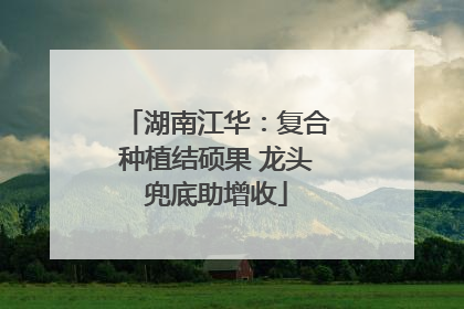 湖南江华：复合种植结硕果 龙头兜底助增收
