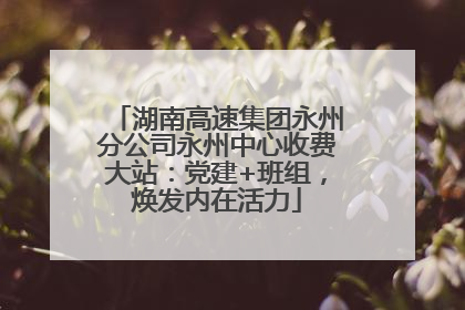 湖南高速集团永州分公司永州中心收费大站：党建+班组，焕发内在活力