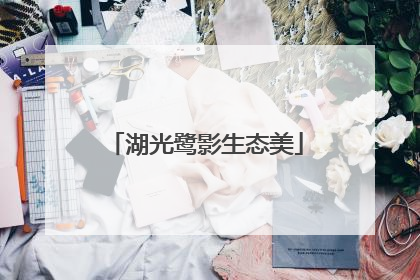 湖光鹭影生态美