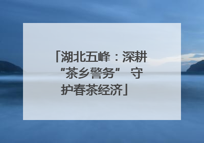 湖北五峰：深耕“茶乡警务” 守护春茶经济