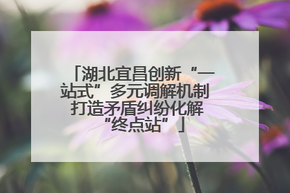湖北宜昌创新“一站式”多元调解机制 打造矛盾纠纷化解“终点站”
