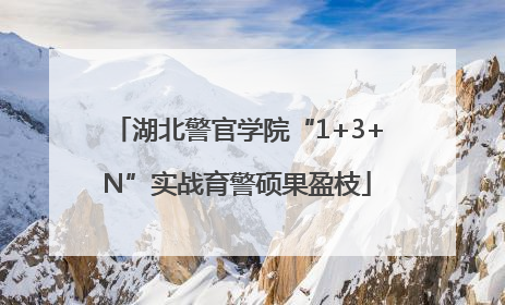 湖北警官学院“1+3+N”实战育警硕果盈枝